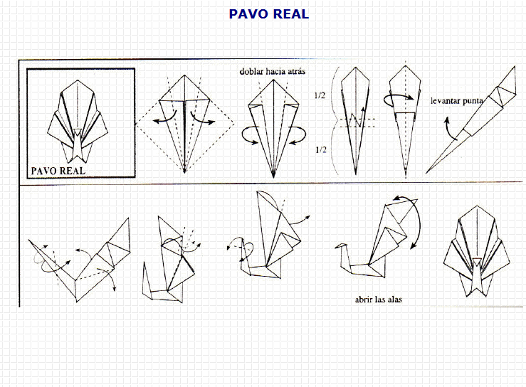 Origami: pavo real | Recurso educativo 49727