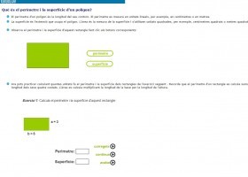 Perímetre i superfície d'un polígon | Recurso educativo 731515