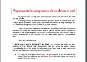 Adaptacions de les plantes | Recurso educativo 743091