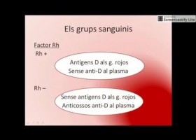 Els grups sanguinis | Recurso educativo 750055