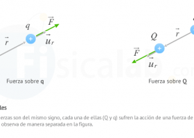 Ley de Coulomb | Fisicalab | Recurso educativo 752376